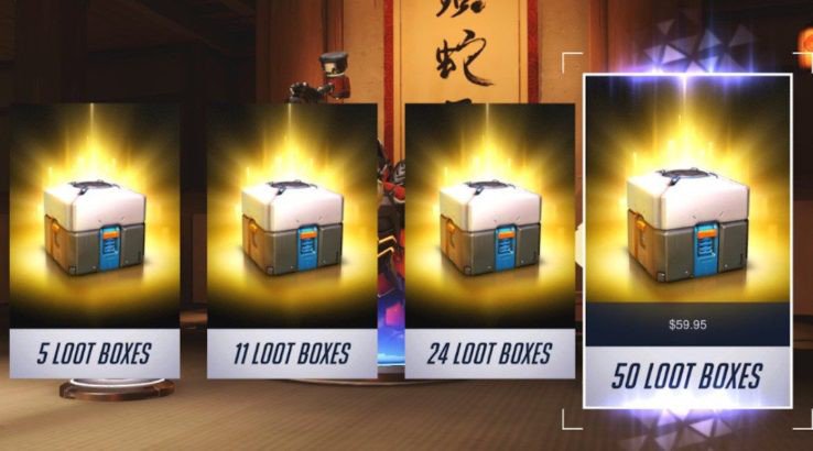 Hawaii State Rep. Introduces Loot Box Bills